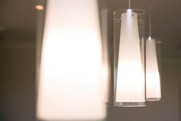 Manawatu-Rural-2021-HOTY-7