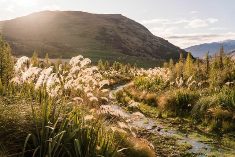 hanley's farm creek queenstown