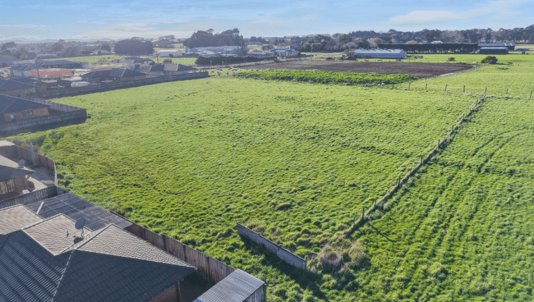 the chesney by fowler homes location 4