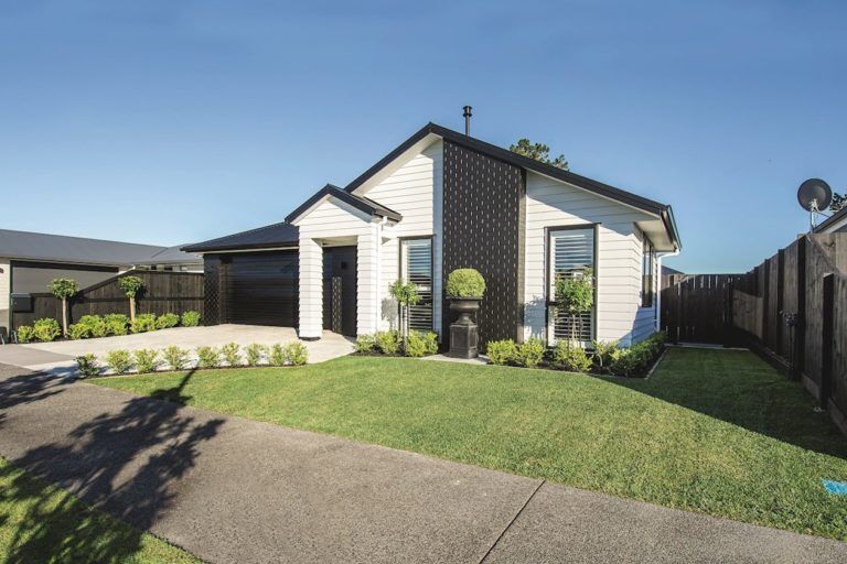 Tauranga-Purves-2017-1